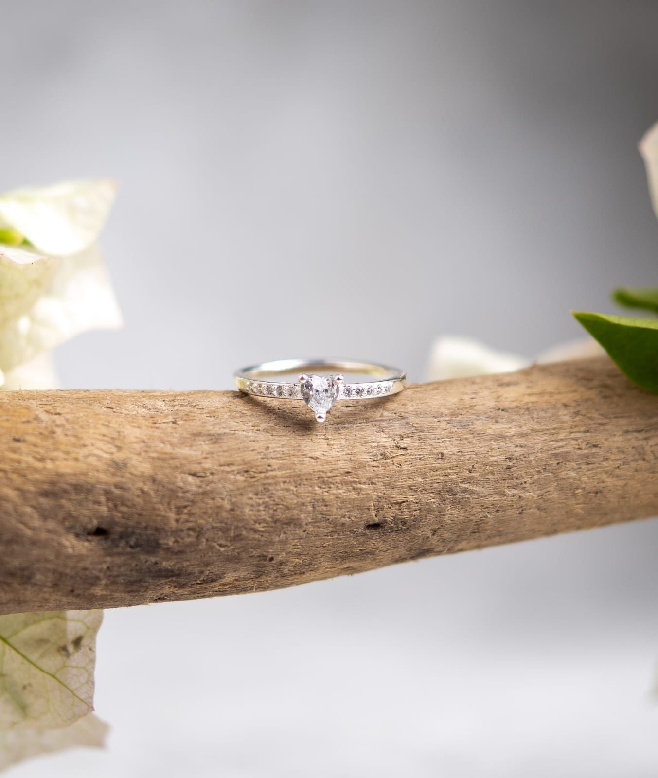 Anillo Promesa Aurora