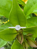 Anillo Promesa Celestia