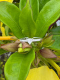 Anillo Promesa Aria