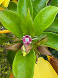 Anillo Promesa Rubí Aura