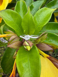 Anillo Promesa Valentina